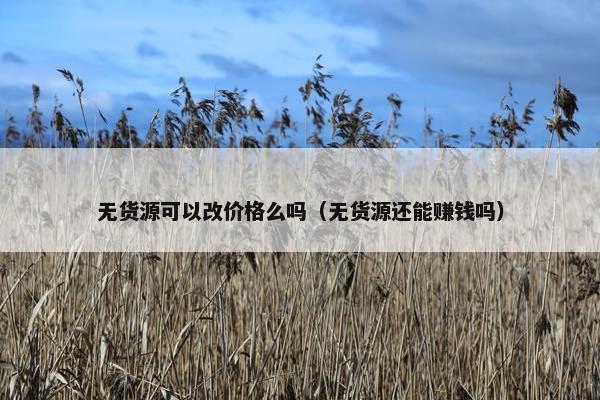 无货源可以改价格么吗（无货源还能赚钱吗）