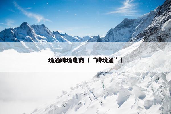 境通跨境电商（“跨境通”）