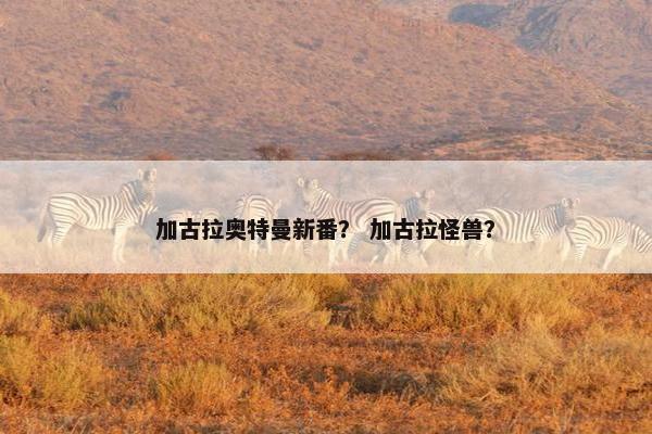加古拉奥特曼新番？ 加古拉怪兽？
