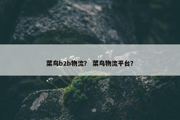 菜鸟b2b物流？ 菜鸟物流平台？