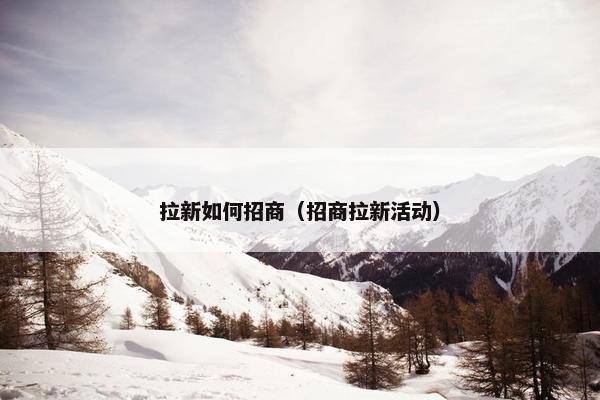 拉新如何招商（招商拉新活动）