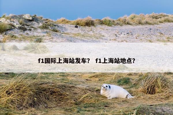 f1国际上海站发车？ f1上海站地点？