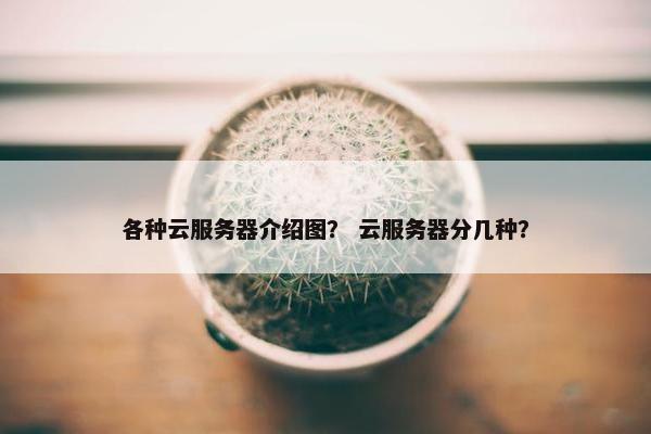 各种云服务器介绍图？ 云服务器分几种？