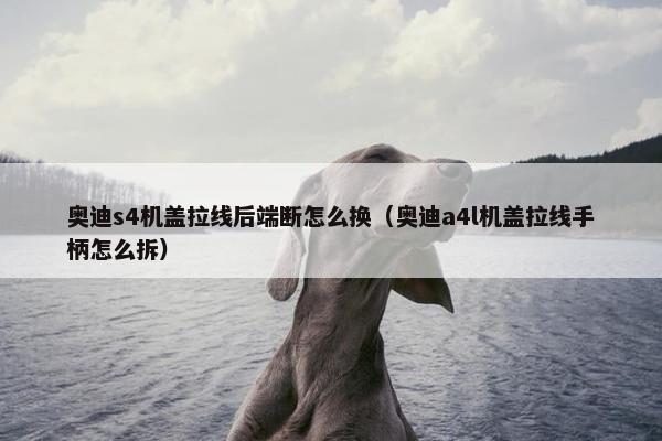 奥迪s4机盖拉线后端断怎么换（奥迪a4l机盖拉线手柄怎么拆）