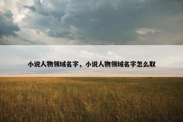 小说人物领域名字，小说人物领域名字怎么取
