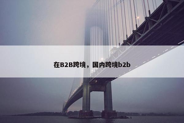 在B2B跨境，国内跨境b2b