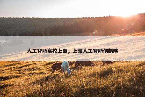 人工智能高校上海，上海人工智能创新院