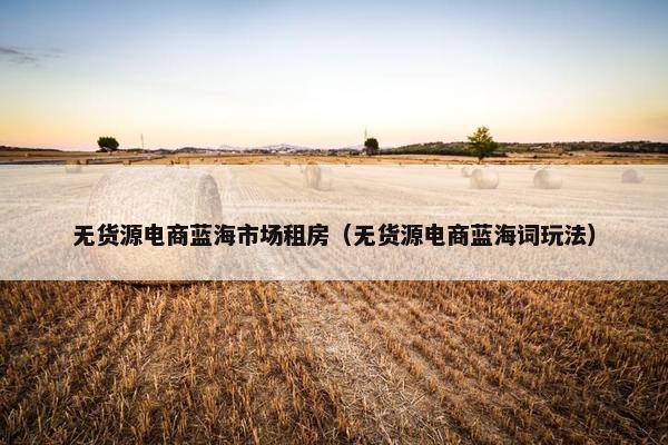 无货源电商蓝海市场租房（无货源电商蓝海词玩法）