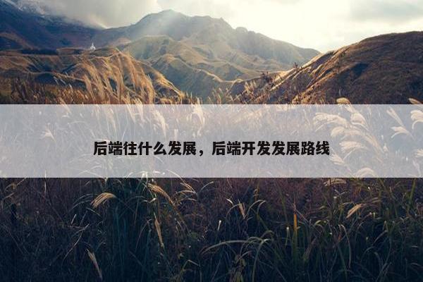 后端往什么发展，后端开发发展路线