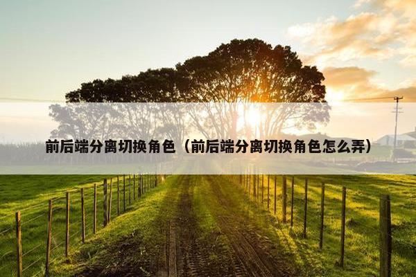 前后端分离切换角色（前后端分离切换角色怎么弄）