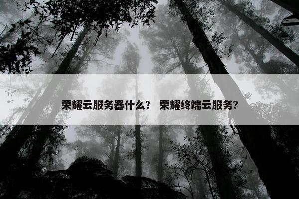 荣耀云服务器什么？ 荣耀终端云服务？