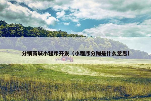 分销商城小程序开发（小程序分销是什么意思）