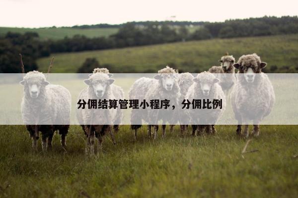 分佣结算管理小程序，分佣比例