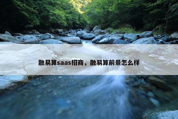 融易算saas招商，融易算前景怎么样