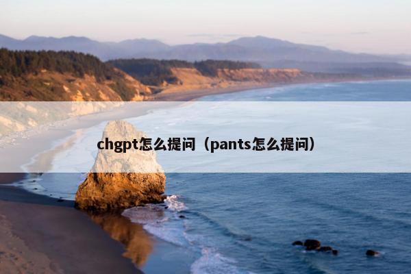 chgpt怎么提问（pants怎么提问）