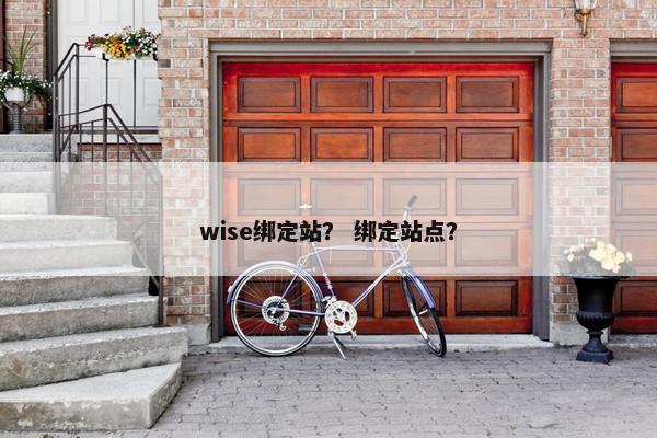 wise绑定站？ 绑定站点？