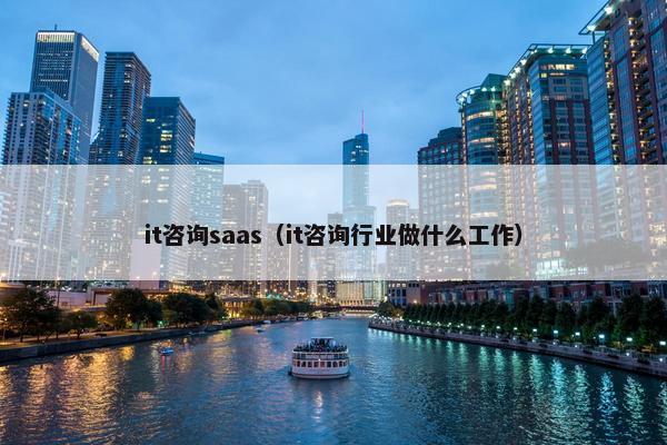 it咨询saas（it咨询行业做什么工作）