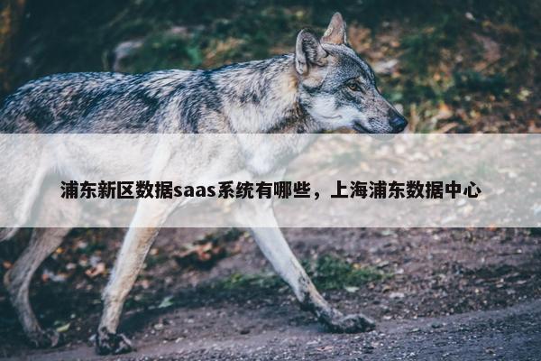 浦东新区数据saas系统有哪些，上海浦东数据中心