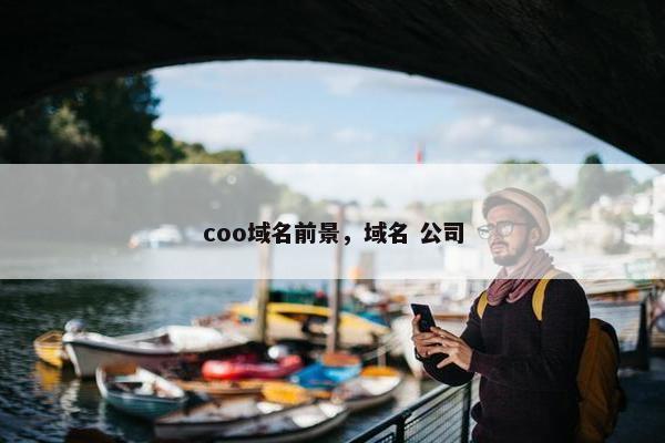 coo域名前景，域名 公司