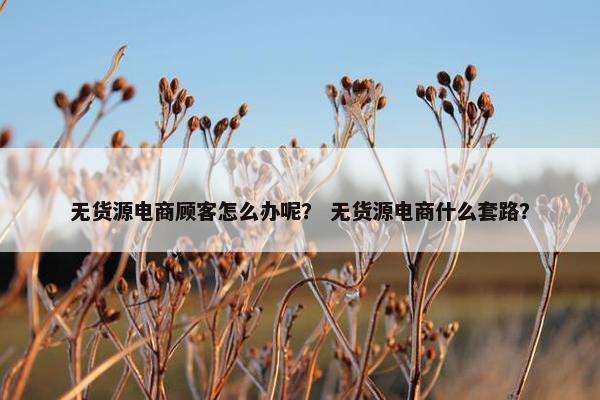 无货源电商顾客怎么办呢？ 无货源电商什么套路？