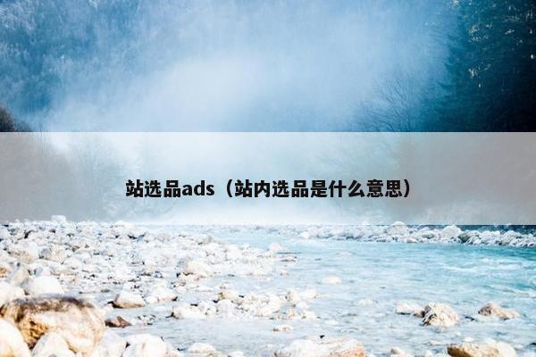 站选品ads（站内选品是什么意思）