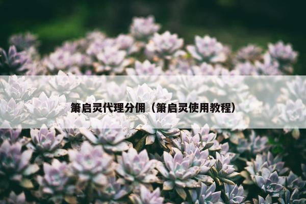 箫启灵代理分佣（箫启灵使用教程）