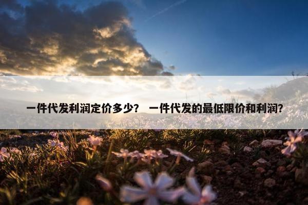 一件代发利润定价多少？ 一件代发的最低限价和利润？