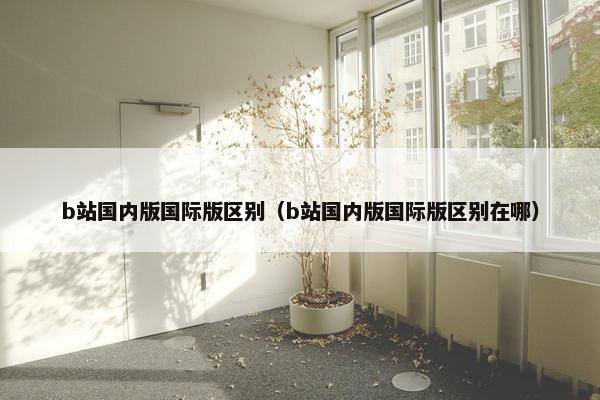 b站国内版国际版区别（b站国内版国际版区别在哪）