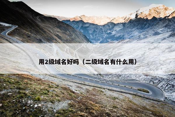 用2级域名好吗（二级域名有什么用）