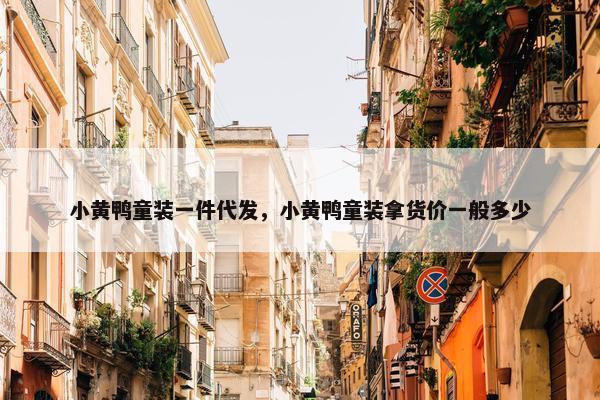 小黄鸭童装一件代发，小黄鸭童装拿货价一般多少