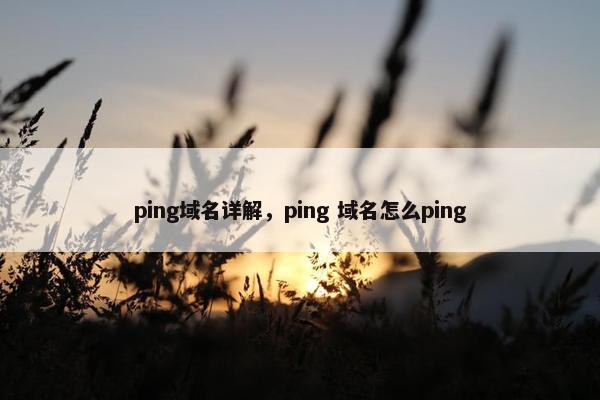 ping域名详解，ping 域名怎么ping