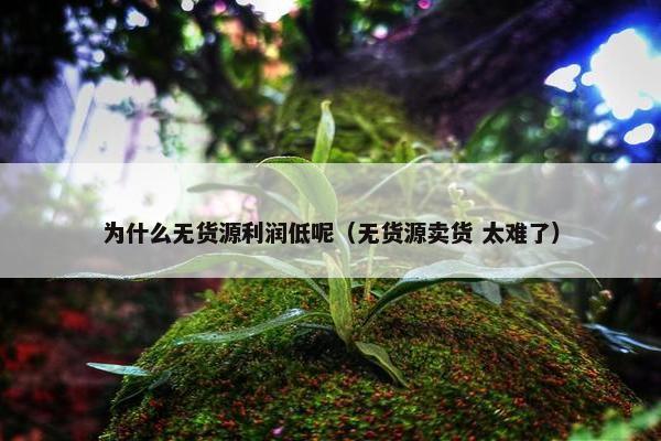 为什么无货源利润低呢（无货源卖货 太难了）