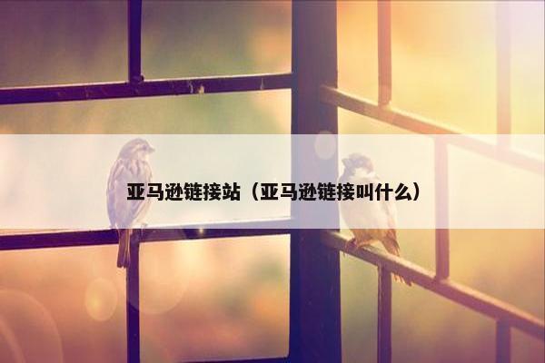 亚马逊链接站（亚马逊链接叫什么）