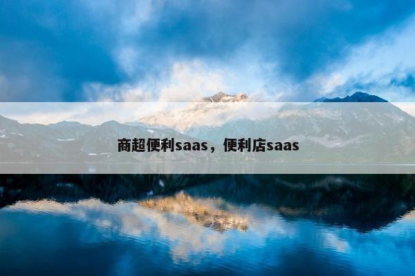 商超便利saas，便利店saas