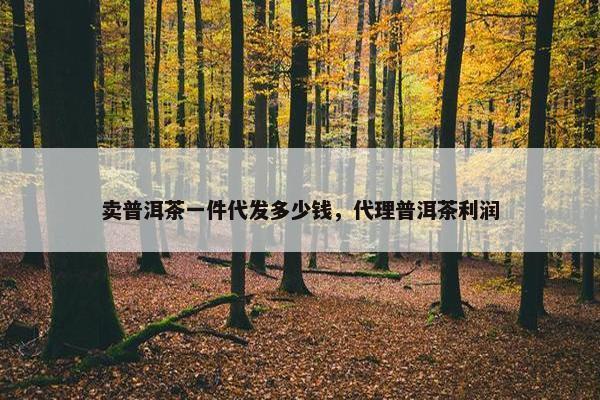 卖普洱茶一件代发多少钱，代理普洱茶利润