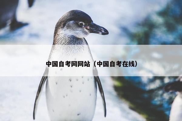 中国自考网网站（中国自考在线）