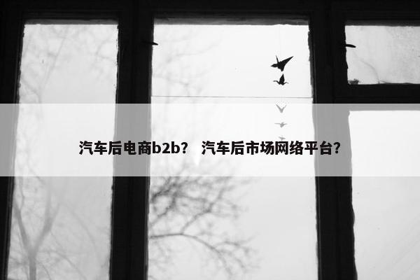 汽车后电商b2b？ 汽车后市场网络平台？