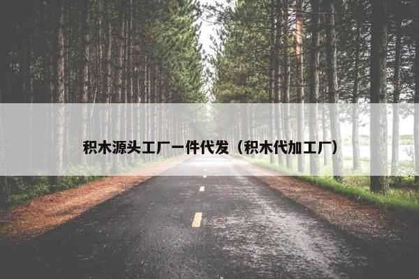 积木源头工厂一件代发（积木代加工厂）