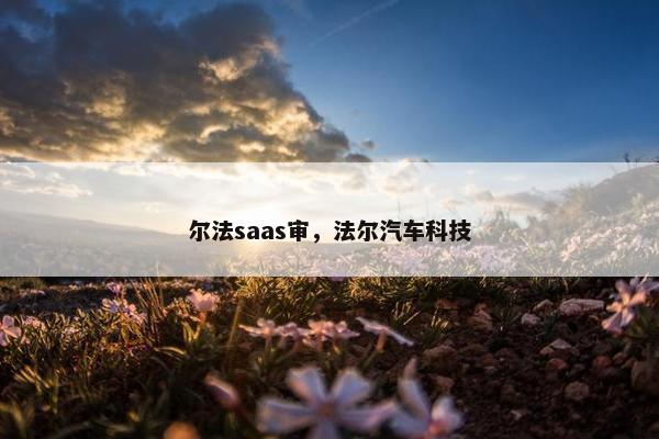尔法saas审，法尔汽车科技