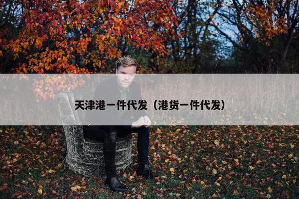 天津港一件代发（港货一件代发）