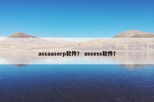 assaaserp软件？ assess软件？
