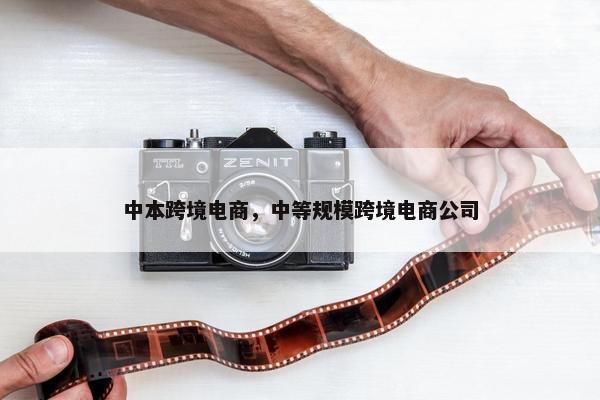 中本跨境电商，中等规模跨境电商公司