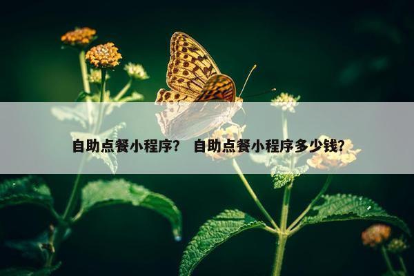 自助点餐小程序？ 自助点餐小程序多少钱？