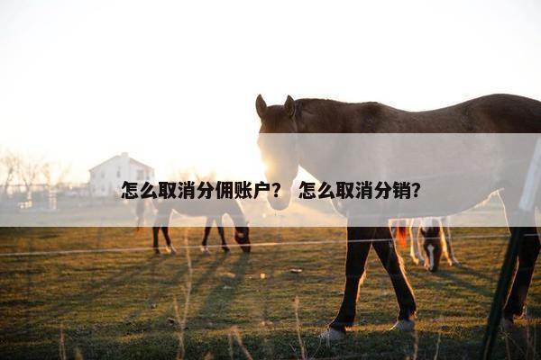 怎么取消分佣账户？ 怎么取消分销？