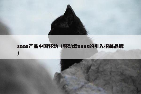 saas产品中国移动（移动云saas的引入招募品牌）