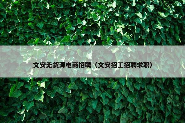 文安无货源电商招聘（文安招工招聘求职）
