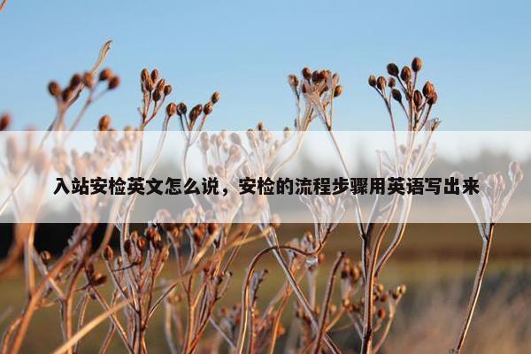 入站安检英文怎么说，安检的流程步骤用英语写出来