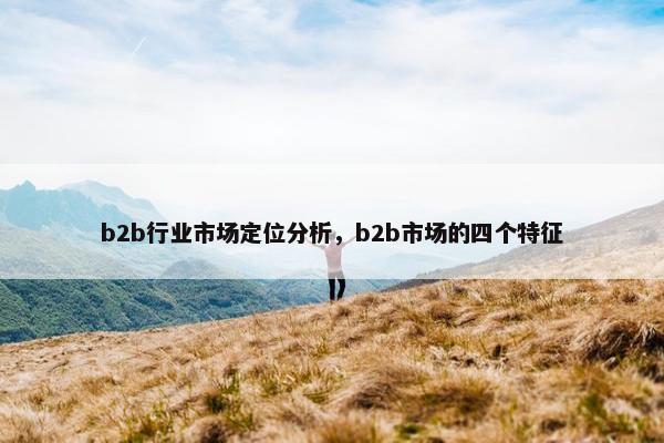 b2b行业市场定位分析，b2b市场的四个特征