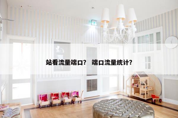 站看流量端口？ 端口流量统计？