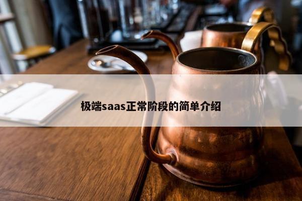 极端saas正常阶段的简单介绍